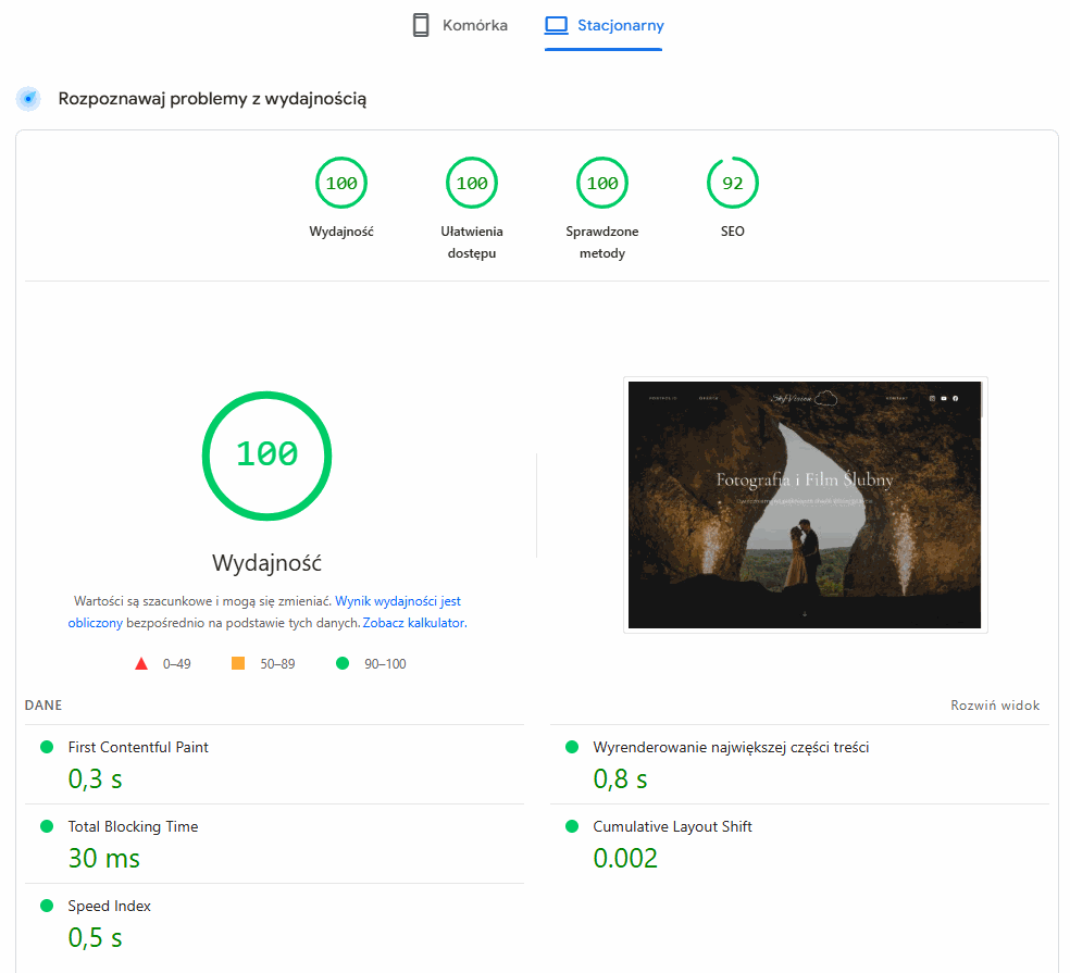 Wyniki Pagespeed dla strony Skyvision.
