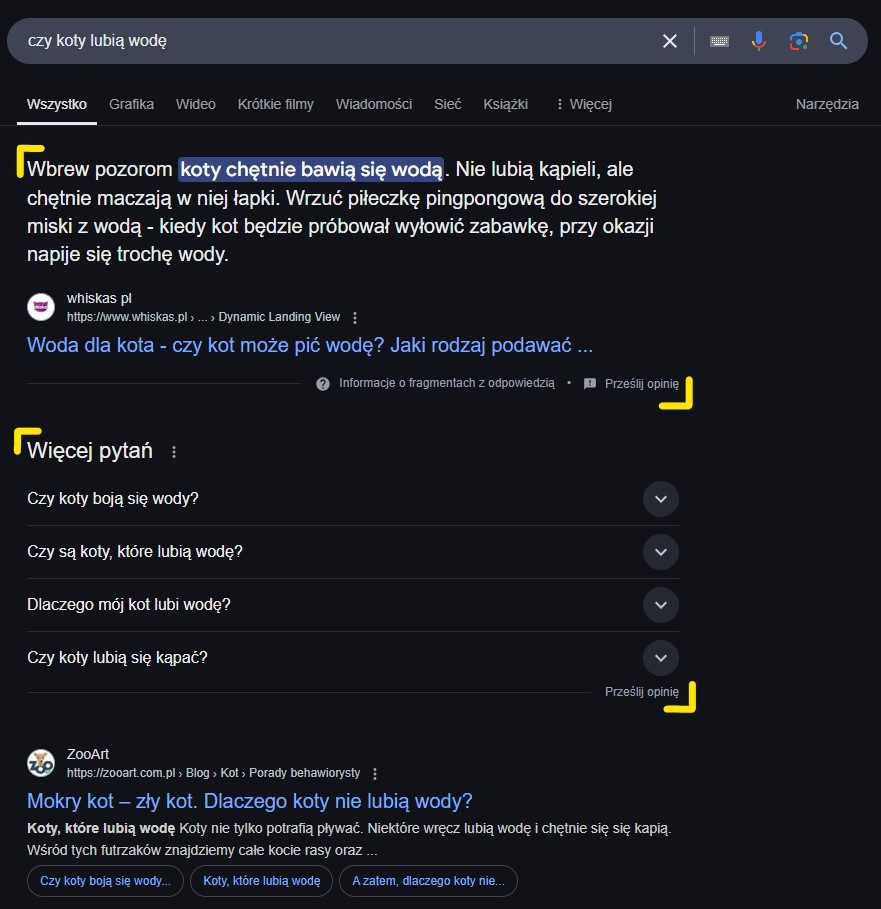 Preview of Google search results showing the 'Featured Snippet' and 'People Also Ask' elements, plus the site ranked first in the search results.