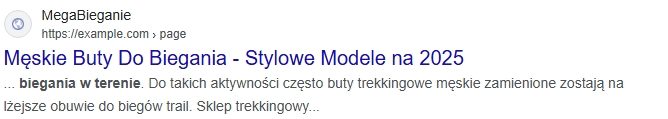Drugi przykład niezoptymalizowanego meta tytułu i meta opisu strony.